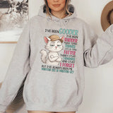 I’ve Been Gooder, I’ve Been Badder, Many Times Thinner, Lots of Times Fatter Hoodie