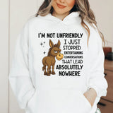 I’m Not Unfriendly, I Just Stopped Entertaining Conversations That Lead Absolutely Nowhere Hoodie