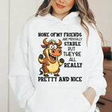 None of My Friends Are Mentally Stable But They’re All Really Pretty and Nice Hoodie